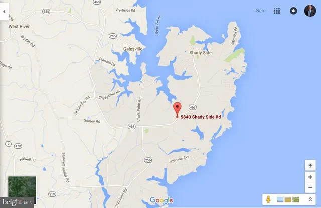 a white vase with flowers