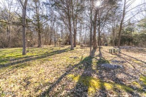 1816 Cook Mill Road New Market, TN 37820 - Photo 53 of 58 Gallery Image 53