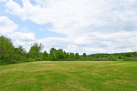 a grassy field with trees in the background