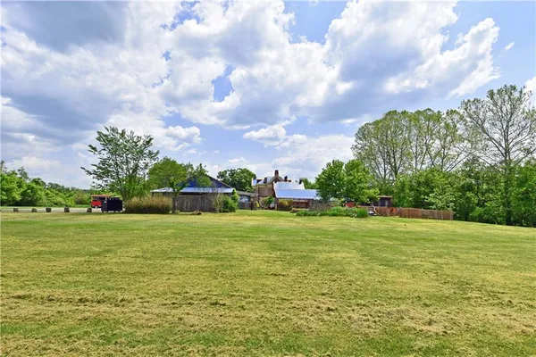 a view of a big yard with plants and large trees