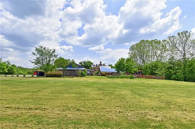 a view of a big yard with plants and large trees
