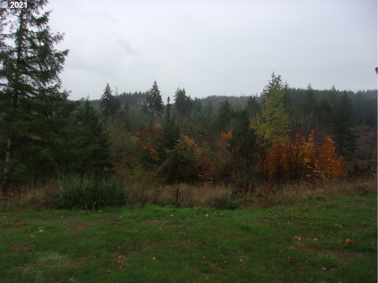 39725 Southwest Fort Hill Road Willamina, OR 97396 - Photo 12 of 16 a view of a yard