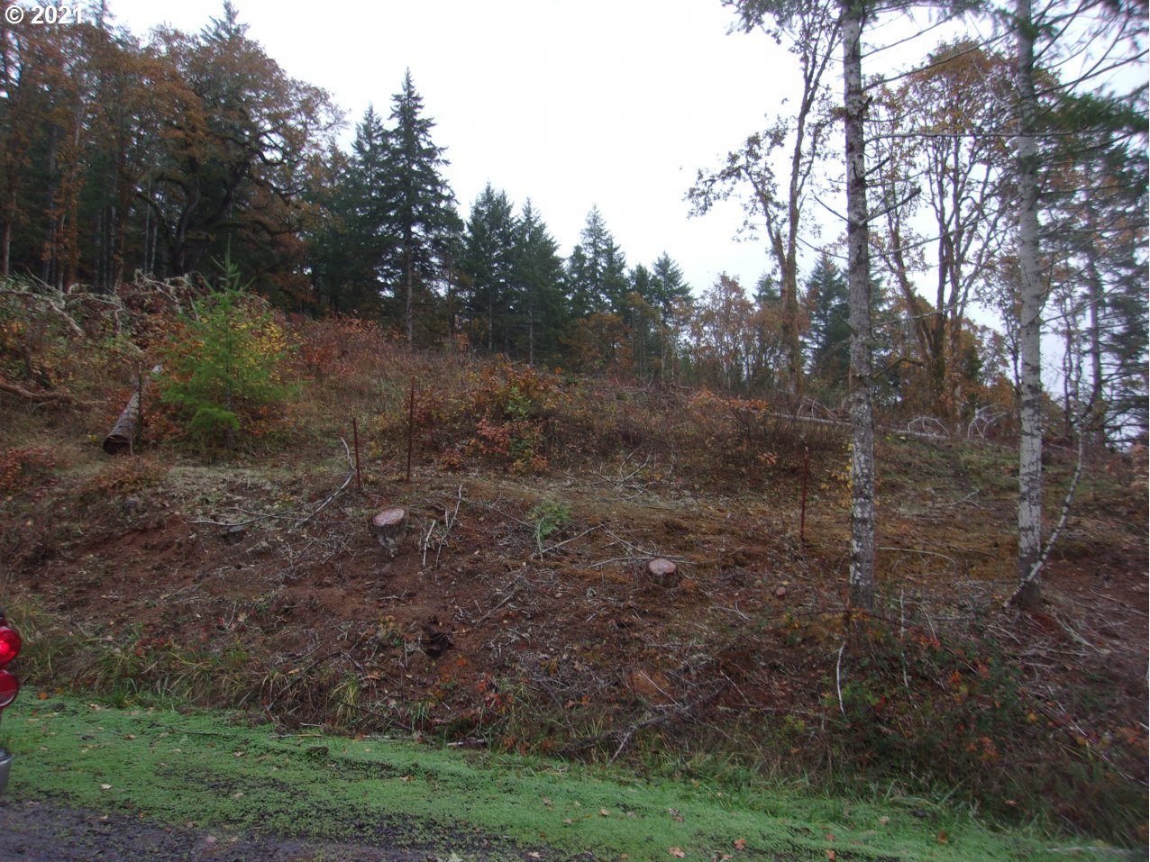 39725 Southwest Fort Hill Road Willamina, OR 97396 - Photo 13 of 16 a view of a large yard with lots of green space