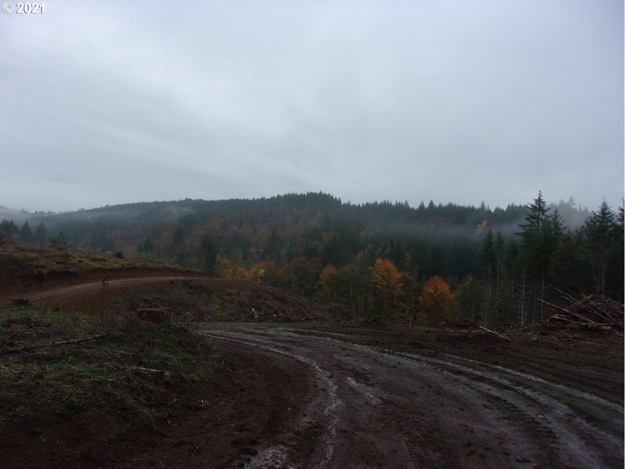 39725 Southwest Fort Hill Road Willamina, OR 97396 - Photo 16 of 16 a view of a yard