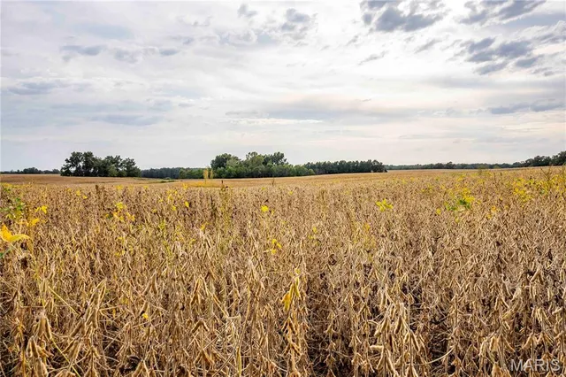 $1 | 0 Co Road, Huntsville, MO 65259