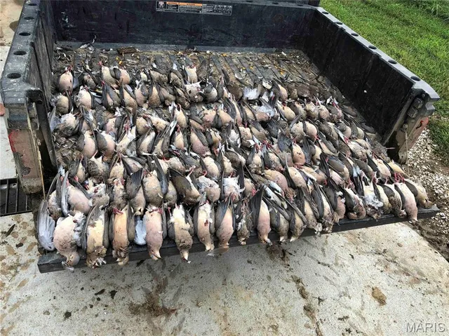 $1 | 0 Co Road, Huntsville, MO 65259