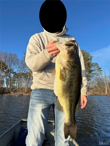 $1 | 0 Co Road, Huntsville, MO 65259