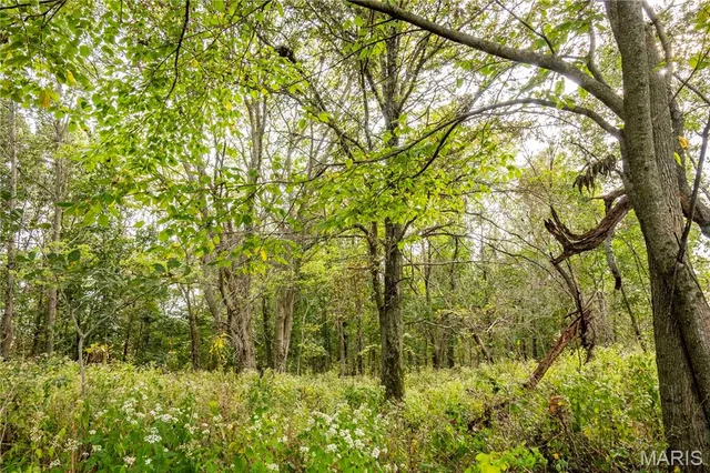 $1 | 0 Co Road, Huntsville, MO 65259