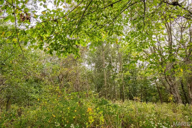 $1 | 0 Co Road, Huntsville, MO 65259