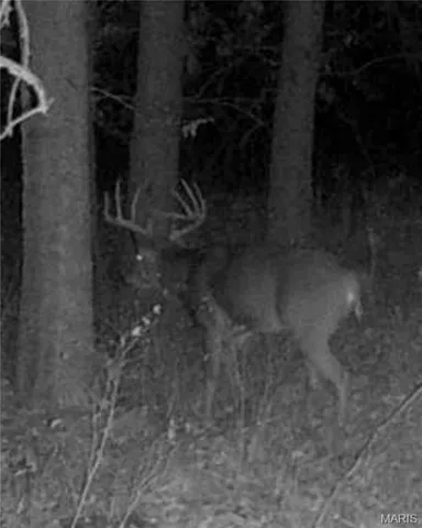 $1 | 0 Co Road, Huntsville, MO 65259