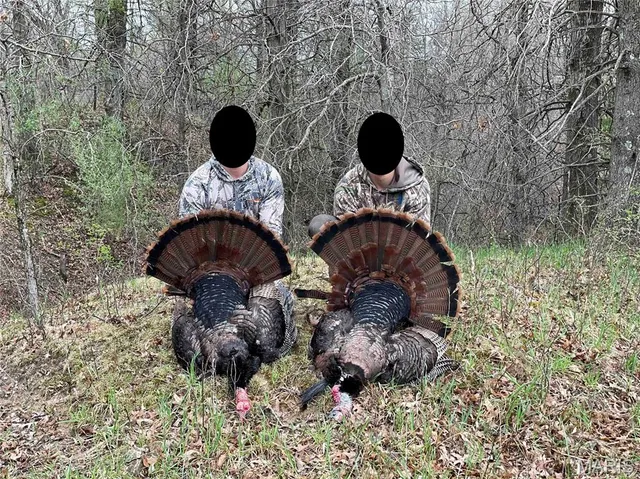 $1 | 0 Co Road, Huntsville, MO 65259