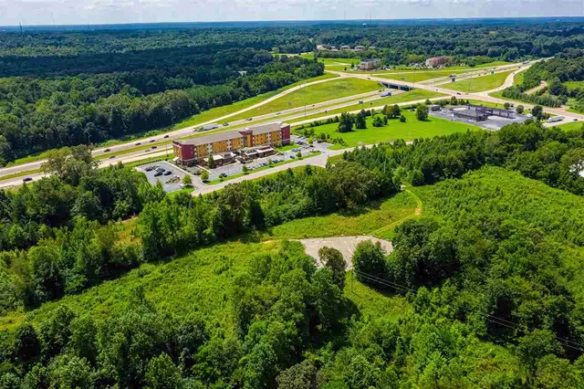a view of a swimming pool with a garden and trees