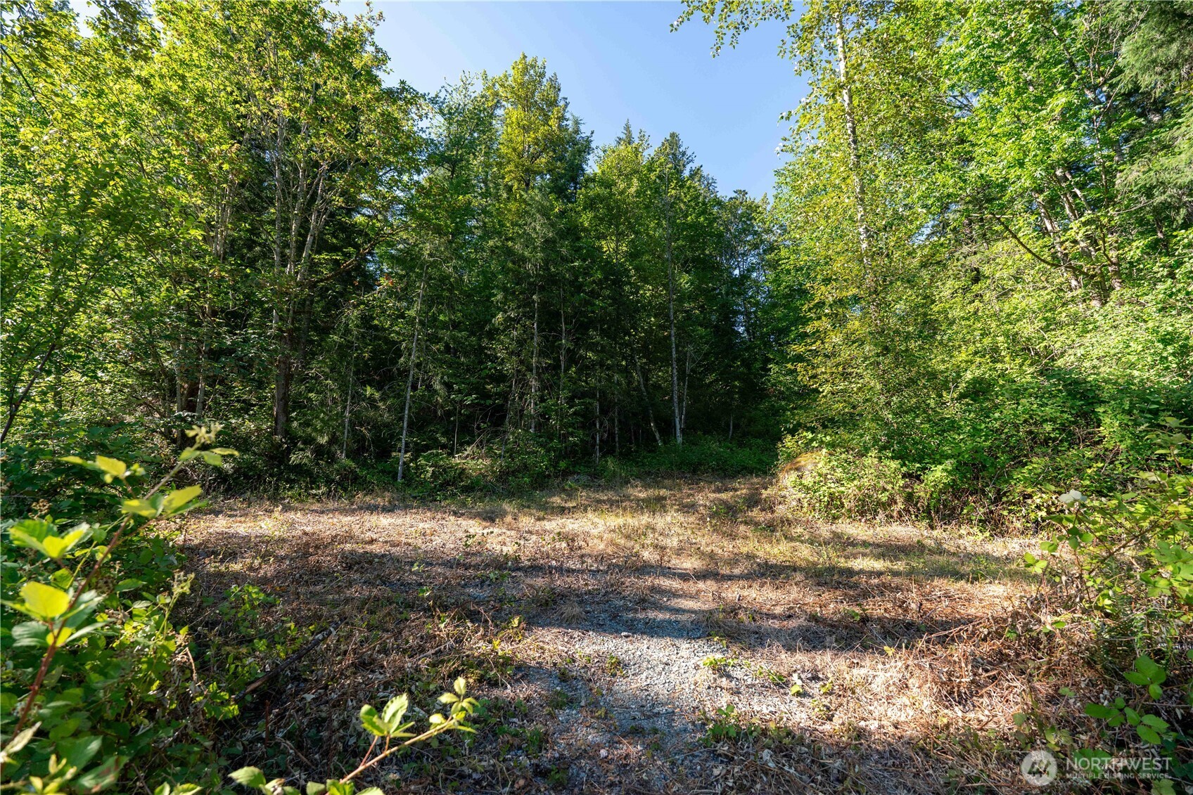 14405 Whiteman Road Gold Bar, WA 98251 - Photo 31 of 37