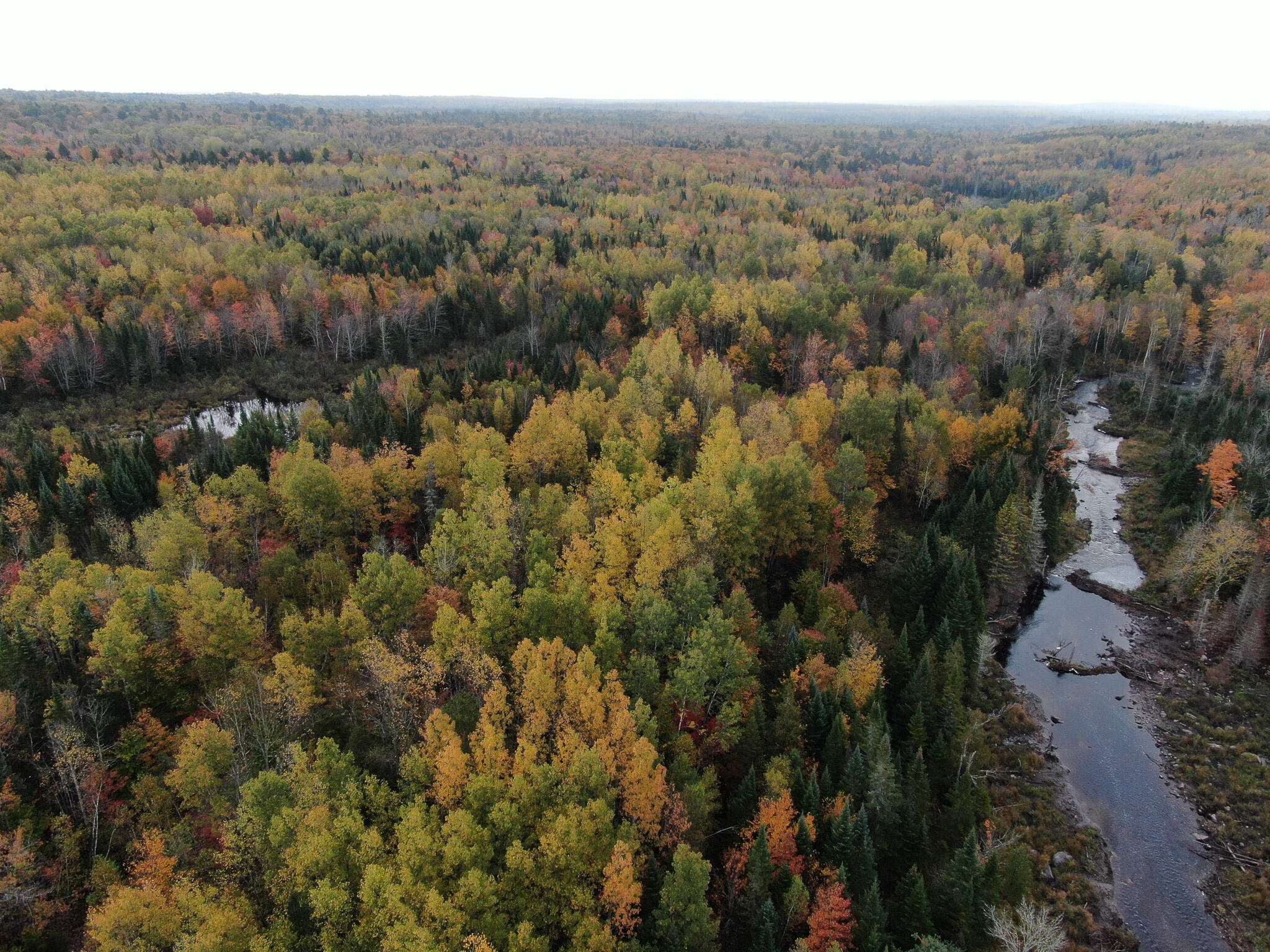 Lot 14 Smith Road Brownville, ME 04414 - Photo 6 of 26 DJI_0464
