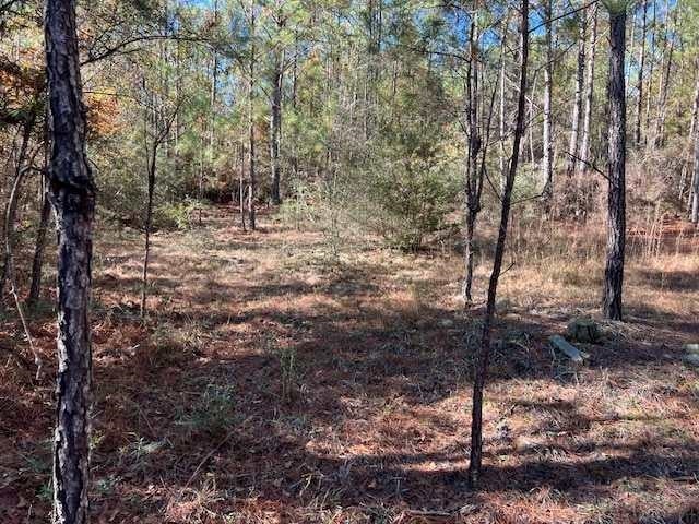 0 Bass Bridge Road Andalusia, AL 36420 - Photo 9 of 15 Gallery Image 9