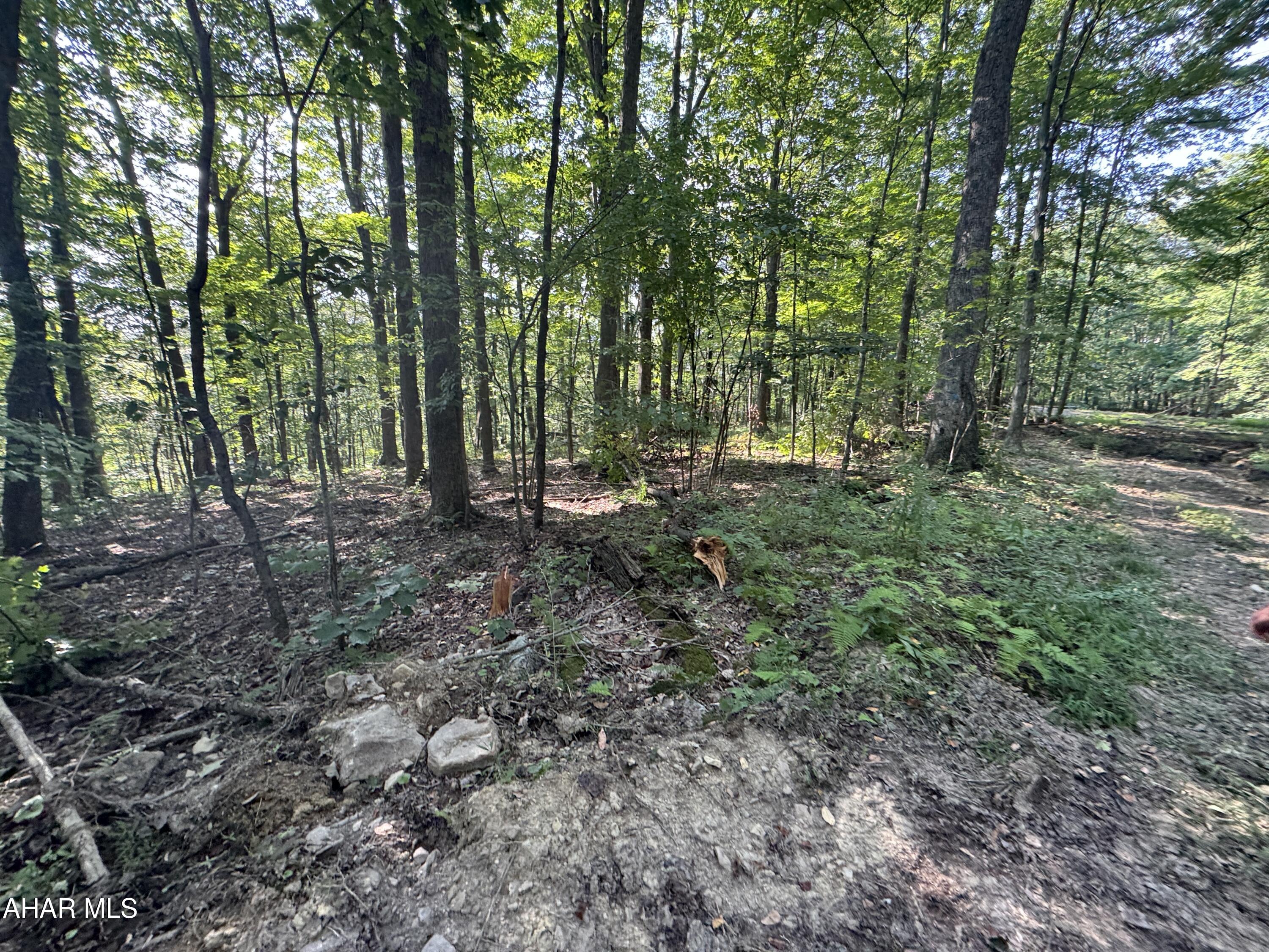 0 Gallitzin (robbins St) Road Gallitzin, PA 16641 - Photo 3 of 7