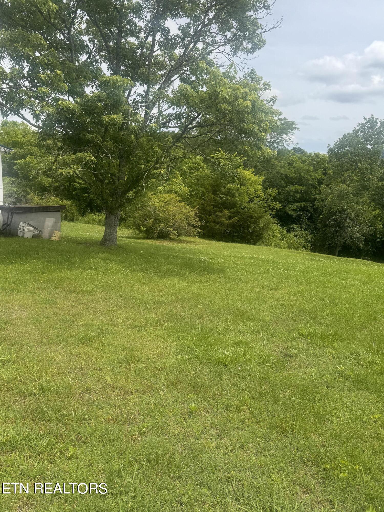 1384 Friends Station Road New Market, TN 37820 - Photo 6 of 18 IMG_5006