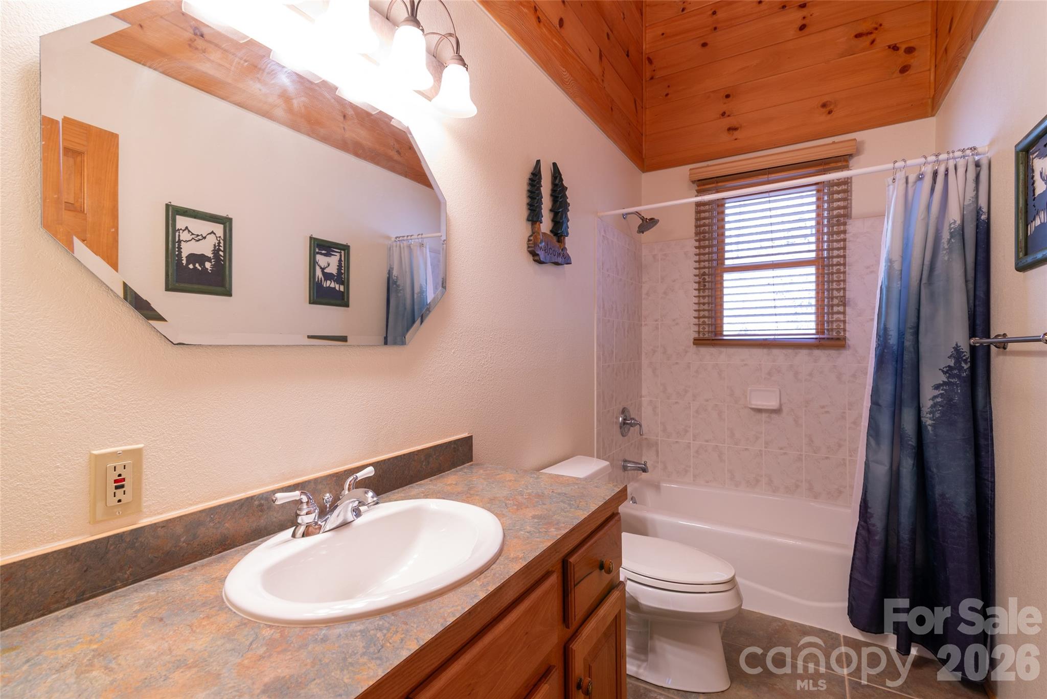 3458 Dicks Creek Road Whittier, NC 28789 - Photo 33 of 36