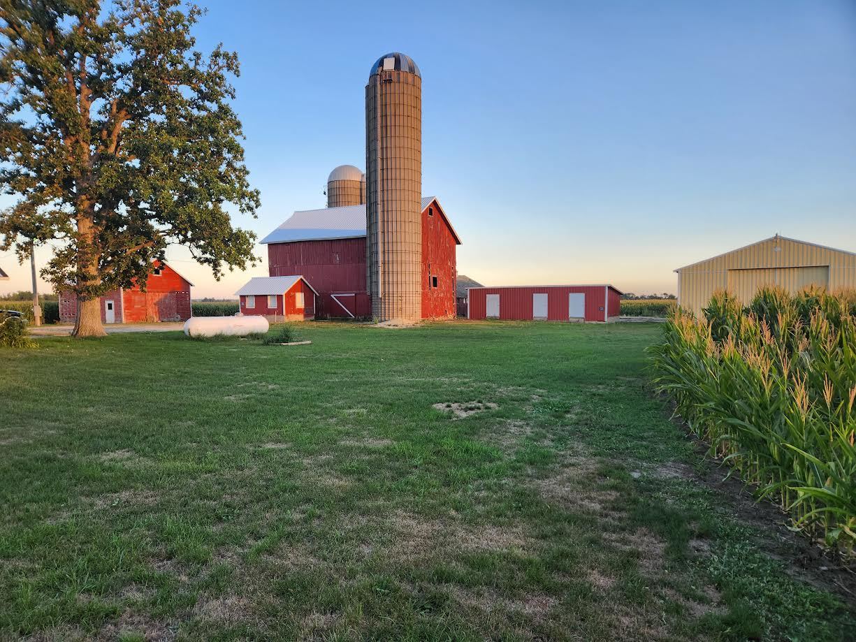 a view of a house with a backyard