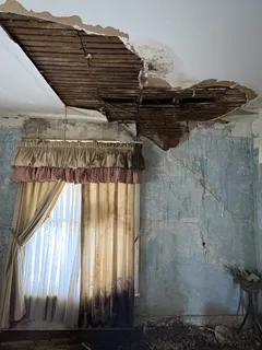 a living room with furniture a wooden floor and a window