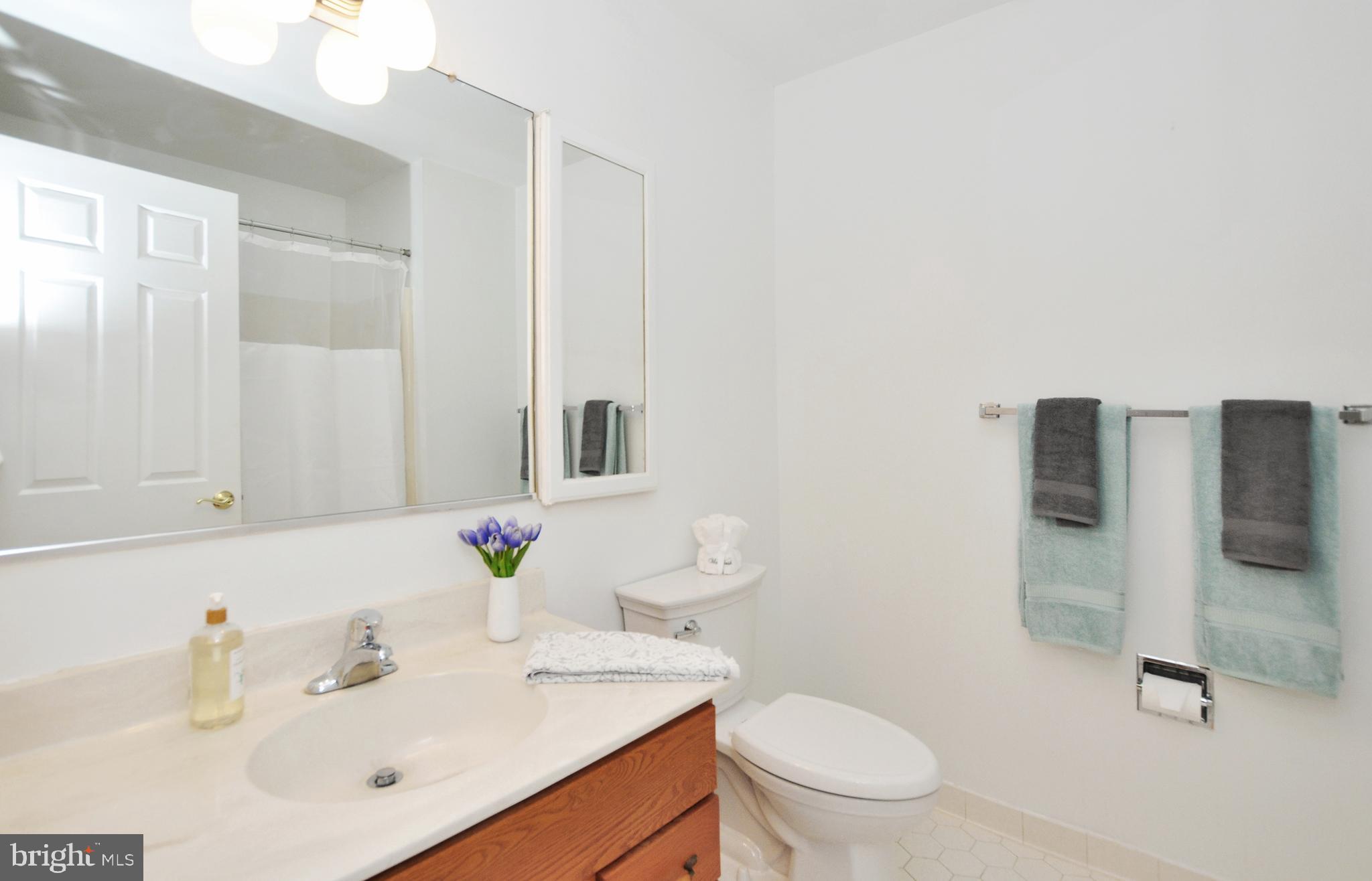 5003 Sangamore Road Bethesda, MD 20816 - Photo 20 of 33 Hall Bath