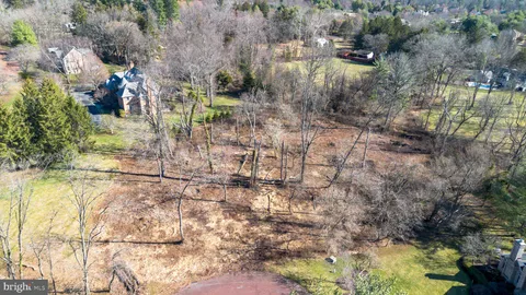 a view of yard along with trees