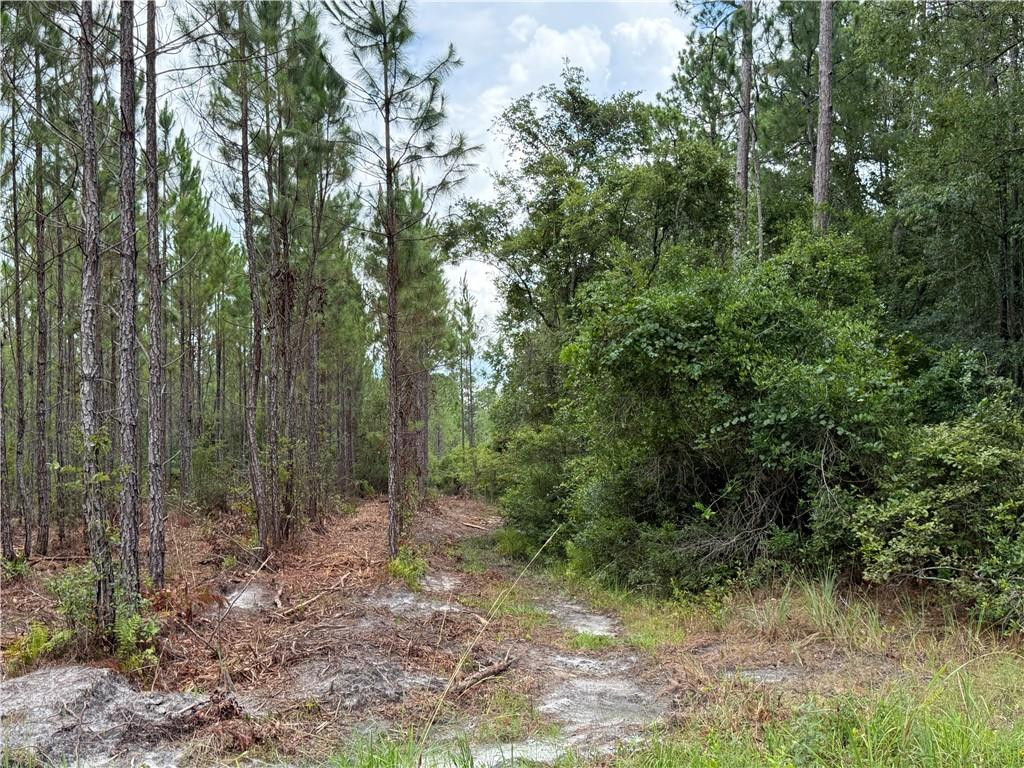 1 Corbitt Road Manor, GA 31550 - Photo 1 of 1 Gallery Image 1