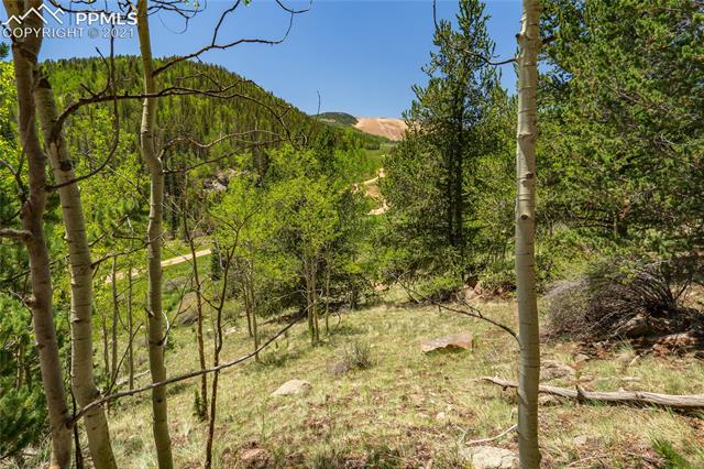 0 Beaver Valley Road Victor, CO 80860 - Photo 15 of 38 Gallery Image 15