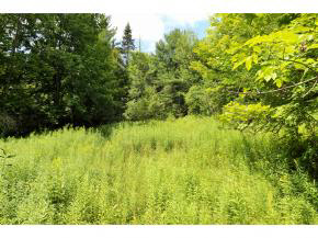 325 Stellar Road Williamstown, VT 05679 - Photo 21 of 22