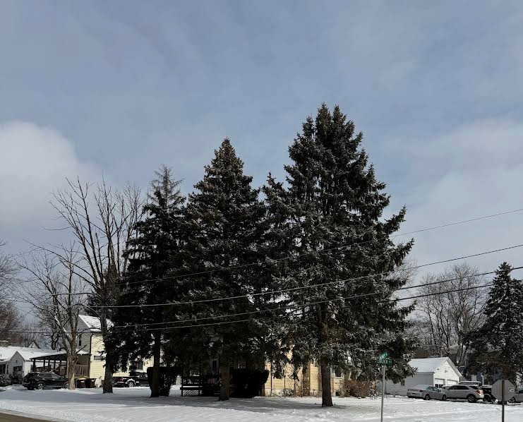 201 Lincoln Street Harvard, IL 60033 - Photo 3 of 3