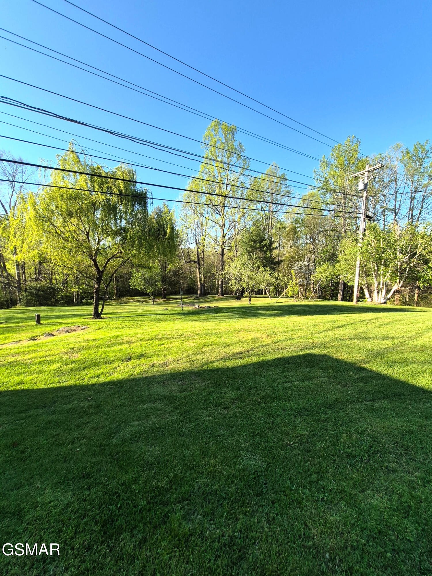 4455 Trail Hollow Road Cosby, TN 37722 - Photo 15 of 27 Gallery Image 15