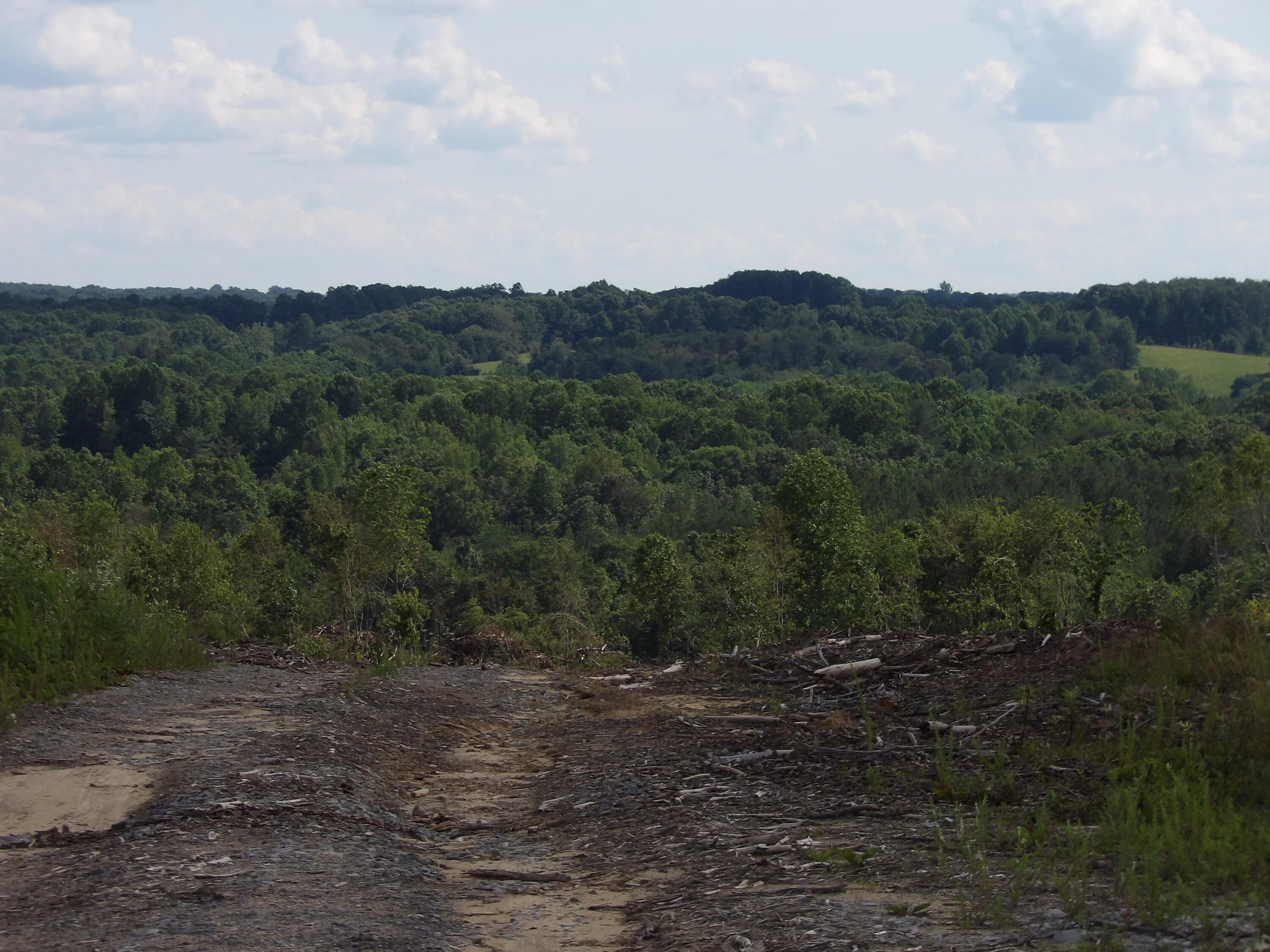 Lot 13 Summer City Road Evensville, TN 37332 - Photo 16 of 22 100_1691