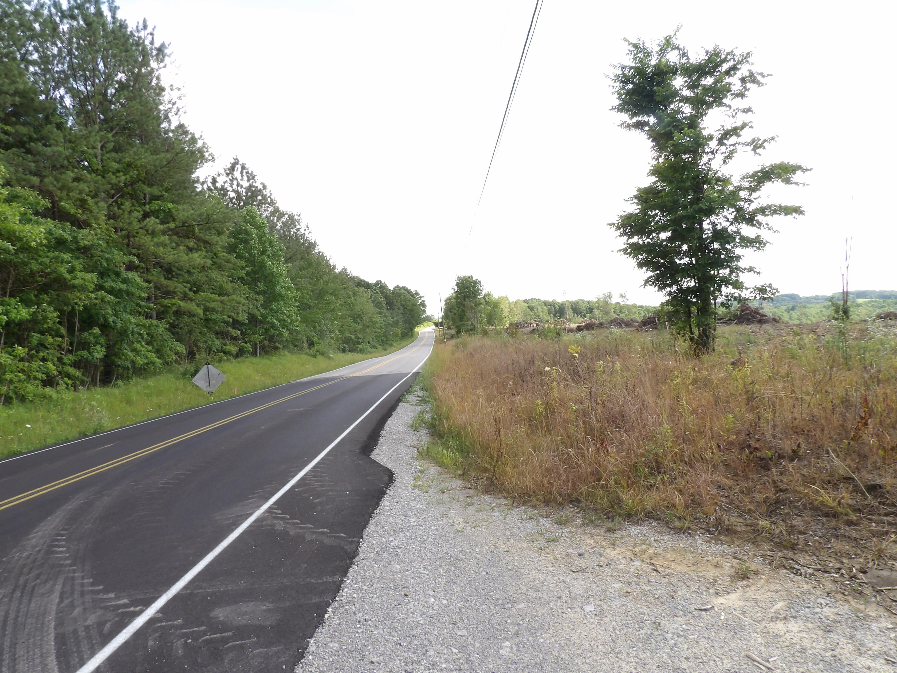 Lot 13 Summer City Road Evensville, TN 37332 - Photo 21 of 22 100_1697