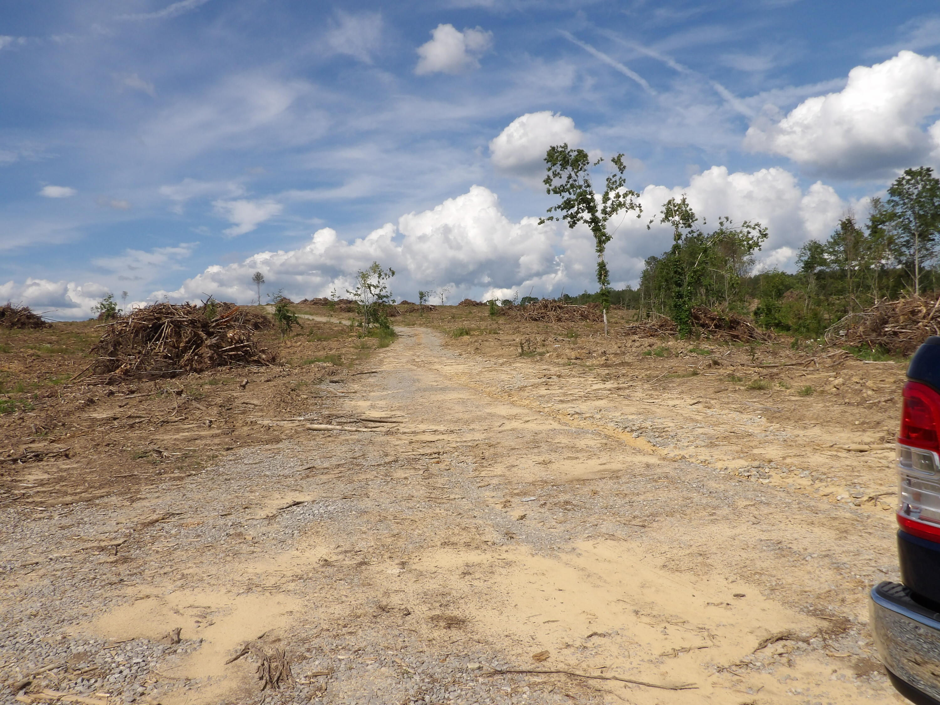 Lot 13 Summer City Road Evensville, TN 37332 - Photo 5 of 22 100_1665