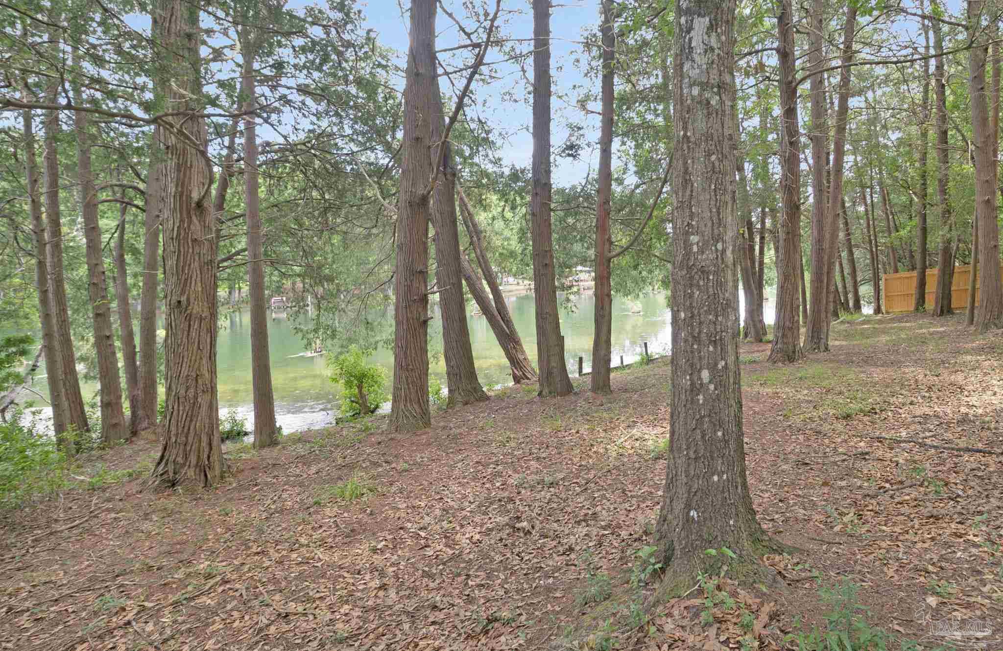 10290 West Lake Road Milton, FL 32583 - Photo 37 of 53 a view of a forest with trees