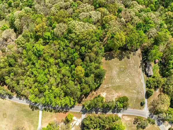 a view of a yard