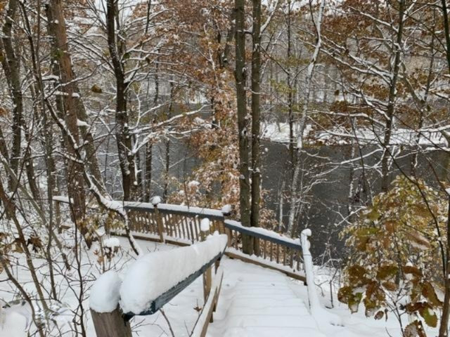 847 Williams Bridge Road Allegan, MI 49010 - Photo 54 of 64 image7