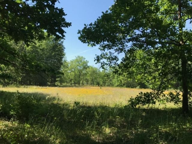 847 Williams Bridge Road Allegan, MI 49010 - Photo 61 of 64 image2