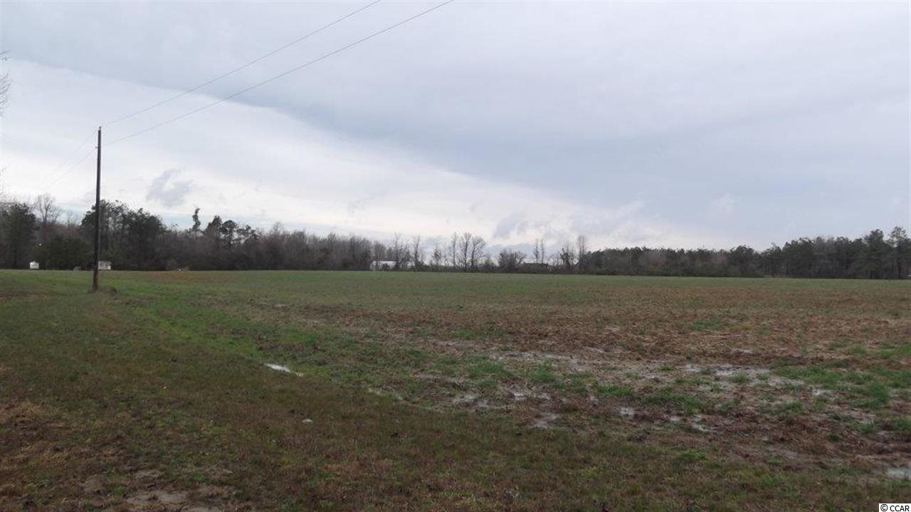 3877 Old Buck Creek Road Longs, SC 29568 - Photo 2 of 9 Gallery Image 2
