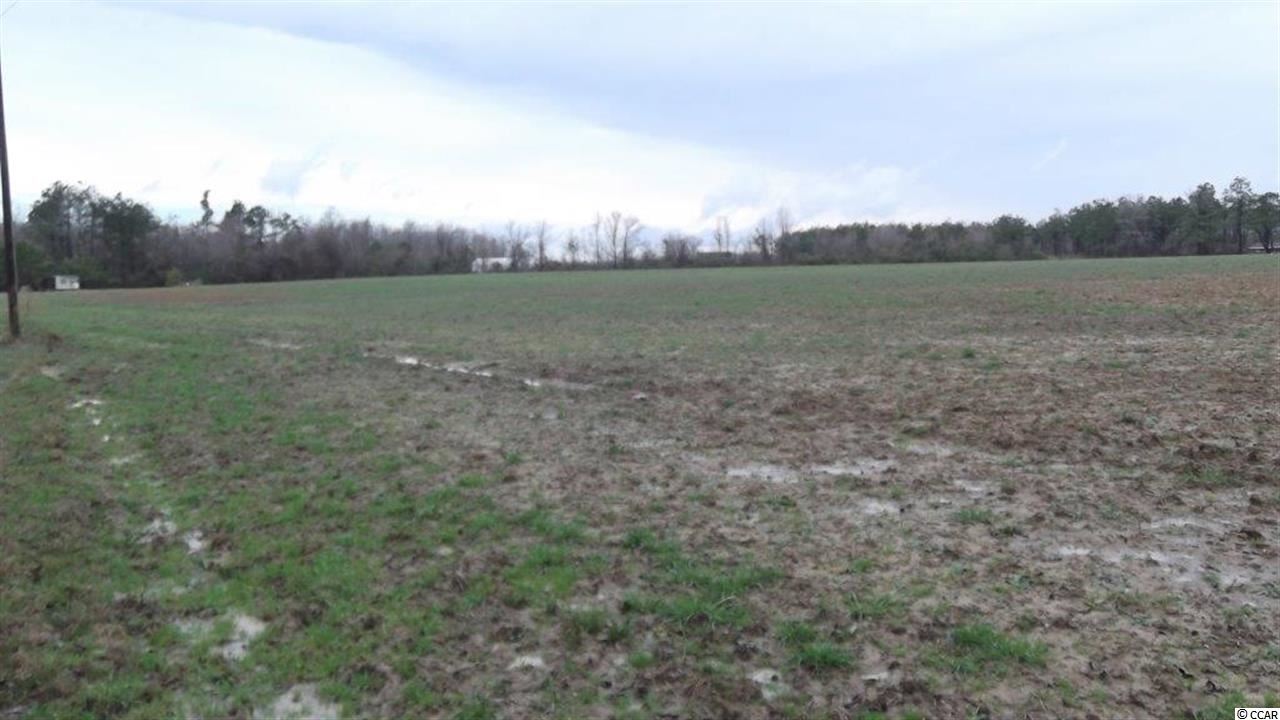 3877 Old Buck Creek Road Longs, SC 29568 - Photo 3 of 9 Gallery Image 3