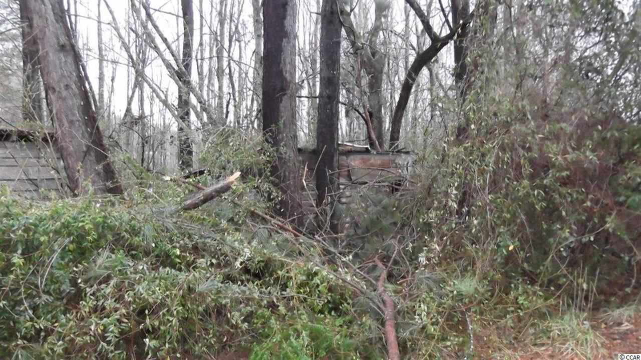 3877 Old Buck Creek Road Longs, SC 29568 - Photo 5 of 9 Gallery Image 5