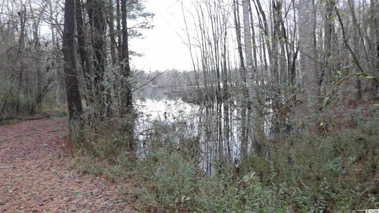3877 Old Buck Creek Road Longs, SC 29568 - Photo 6 of 9 Gallery Image 6