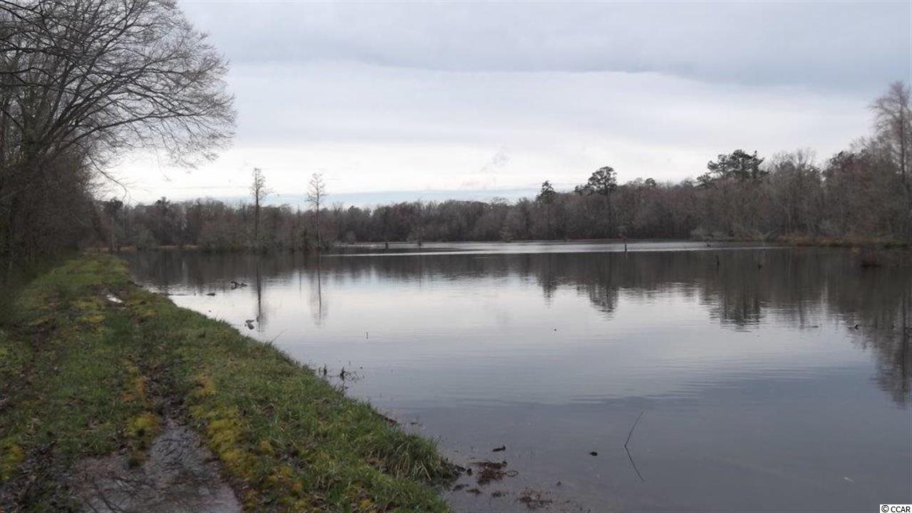 3877 Old Buck Creek Road Longs, SC 29568 - Photo 7 of 9 Gallery Image 7