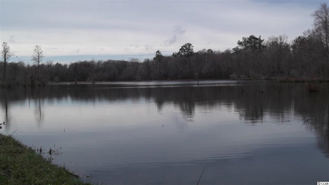 3877 Old Buck Creek Road Longs, SC 29568 - Photo 9 of 9 Gallery Image 9