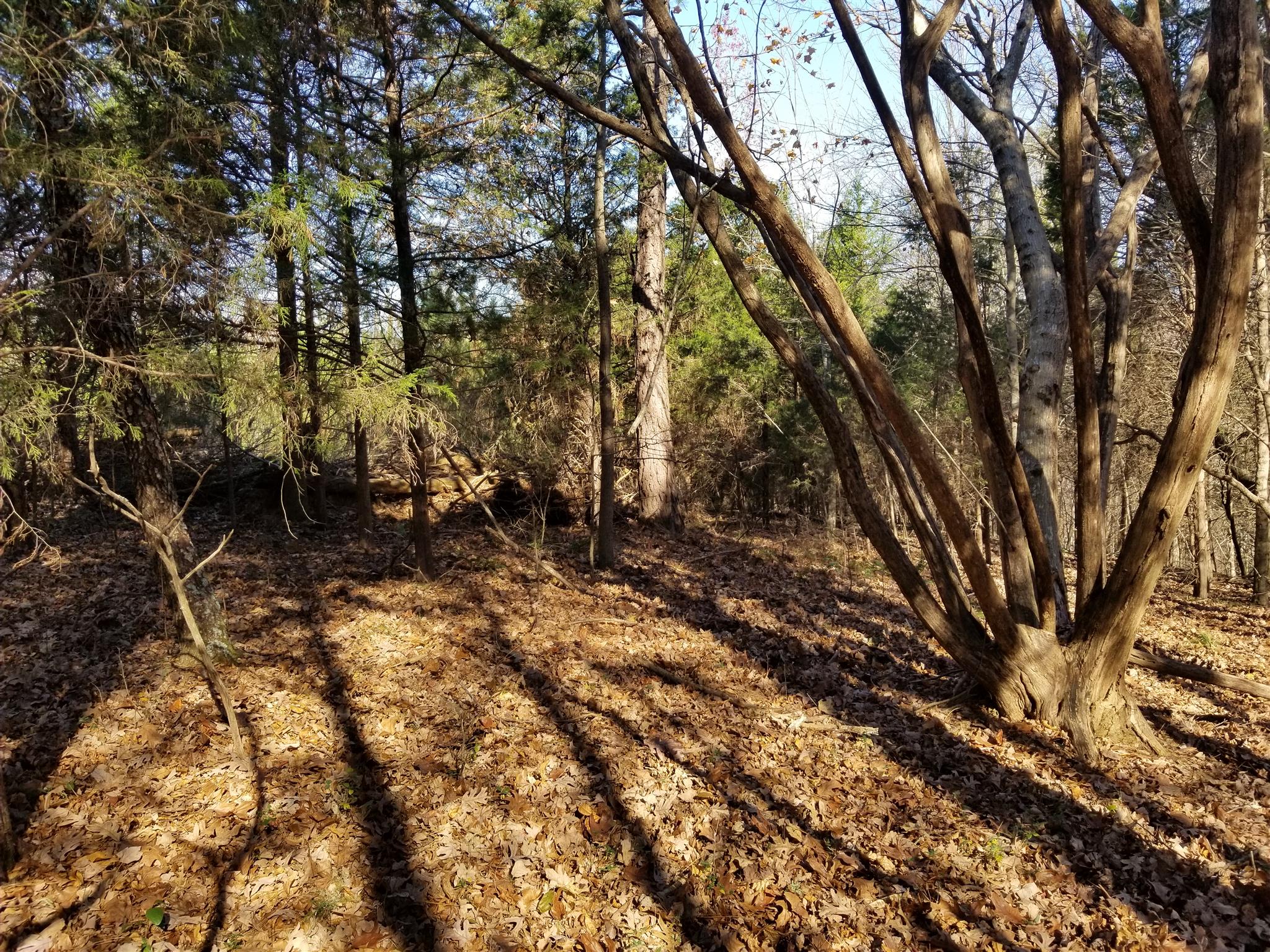5100 Moorefield Road Cunningham, TN 37052 - Photo 2 of 15 a view of outdoor space