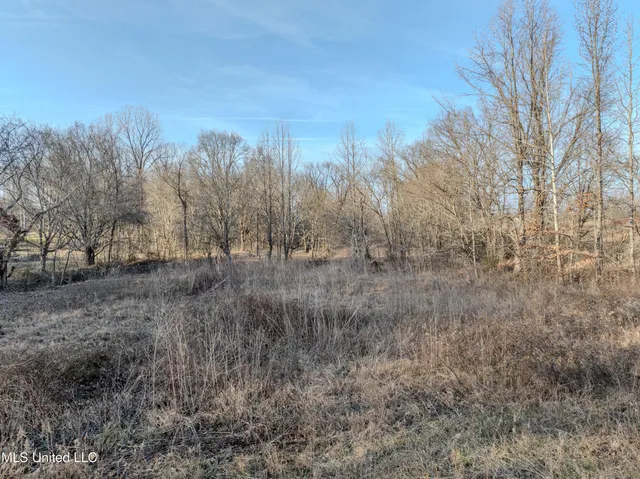 $245,000 | 2 Boggan Lane, Hernando, MS 38632