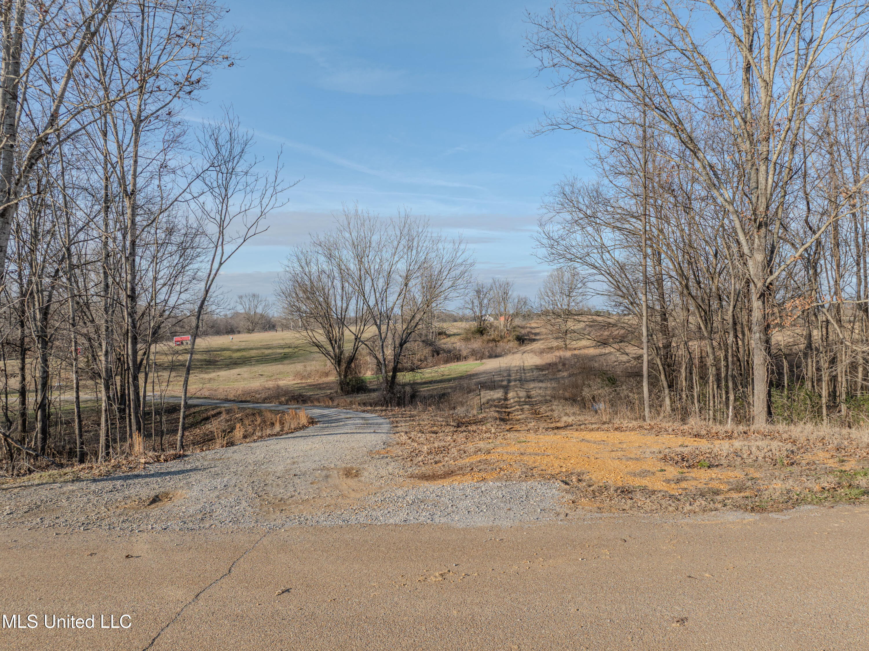 2 Boggan Lane Hernando, MS 38632 - Photo 2 of 30 boggan-2