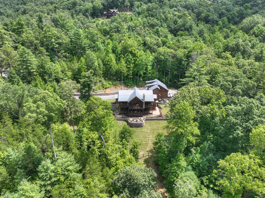 284 Quail Ridge Road Blue Ridge, GA 30513 - Photo 59 of 70 Gallery Image 59