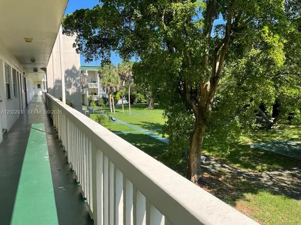 a view of a yard with large trees