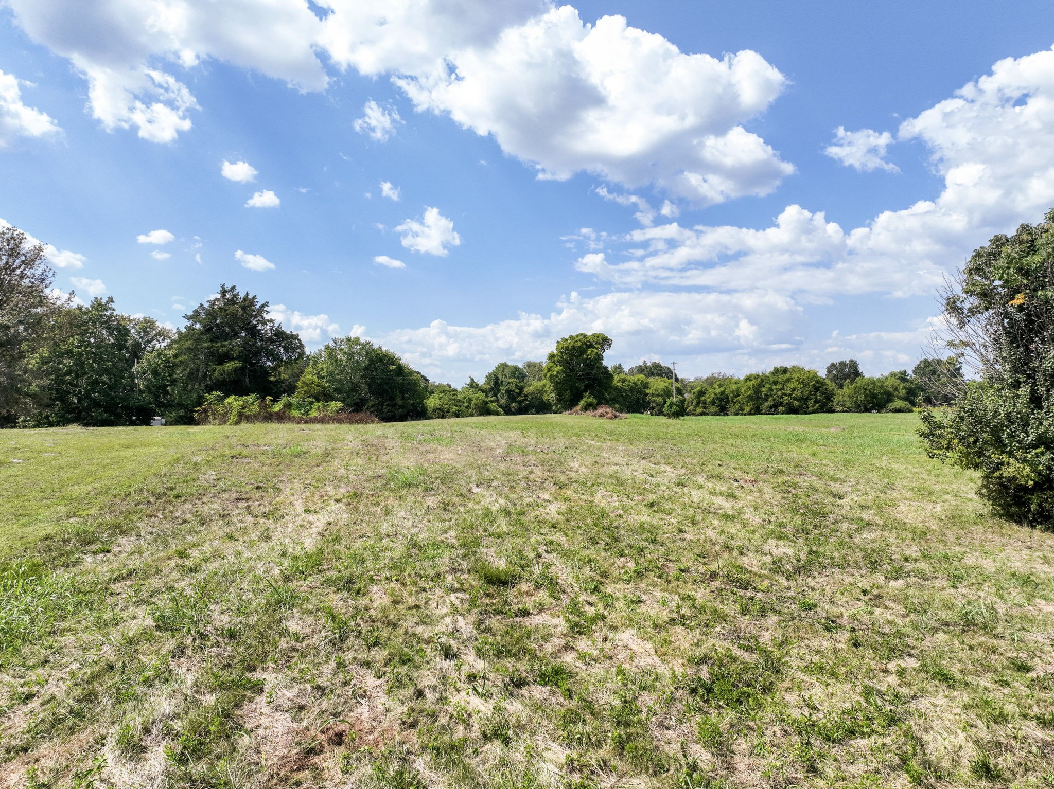 3289 Siegel Road Murfreesboro, TN 37129 - Photo 4 of 14 a view of a green field with wooden fence